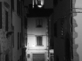 DSC_1161